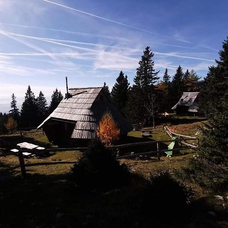 Chalet Gasparjeva Velika Planina Kamnik Ngoại thất bức ảnh