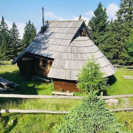 Chalet Gasparjeva Velika Planina Kamnik Ngoại thất bức ảnh