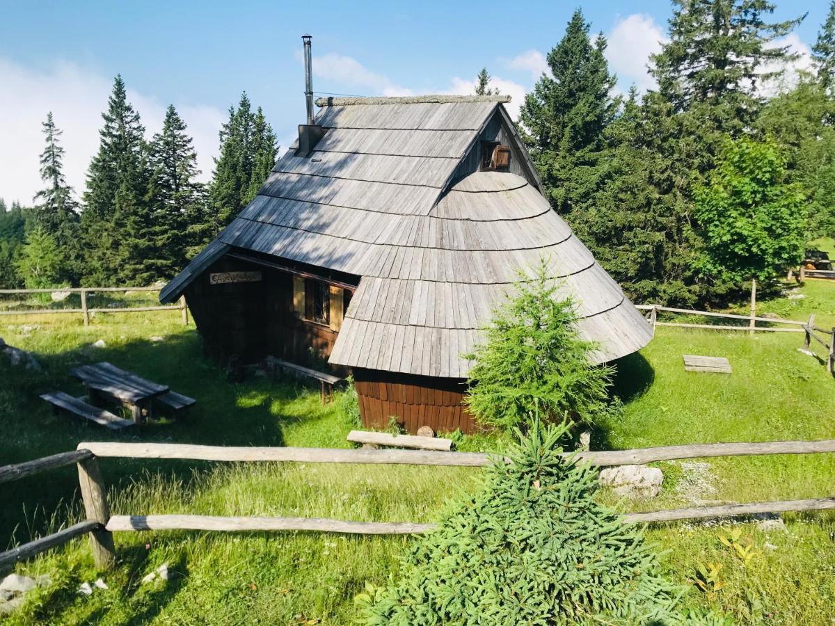Chalet Gasparjeva Velika Planina Kamnik Ngoại thất bức ảnh